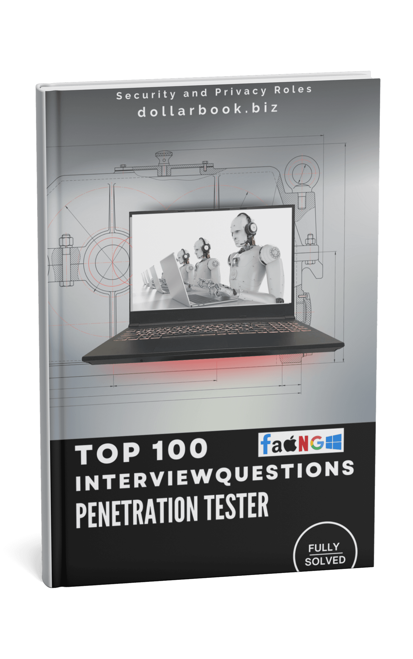 Penetration Tester